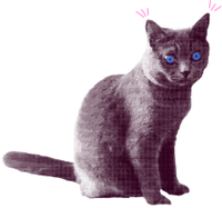 Image for Multitasking Magic in kttcynapse page